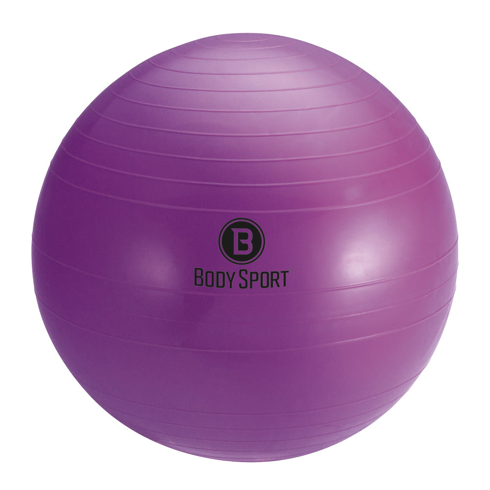BodySport® Fitness Balls with Pump Variety Pack