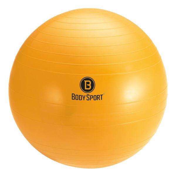 BodySport® Fitness Balls with Pump Variety Pack