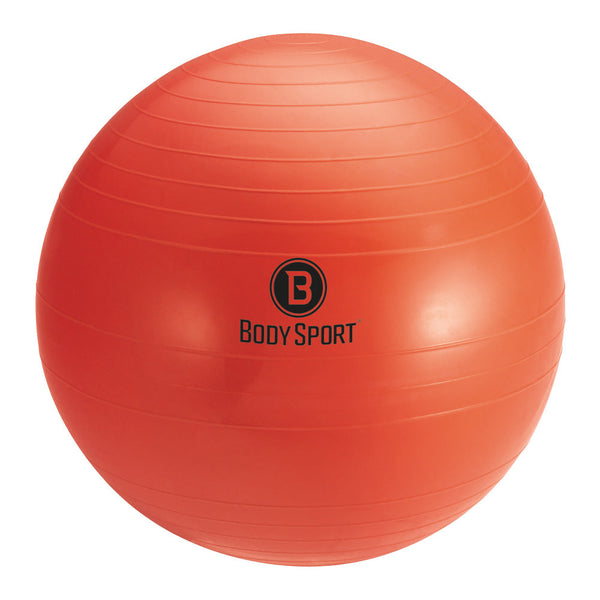 BodySport® Fitness Balls with Pump Variety Pack